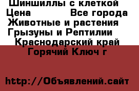 Шиншиллы с клеткой › Цена ­ 8 000 - Все города Животные и растения » Грызуны и Рептилии   . Краснодарский край,Горячий Ключ г.